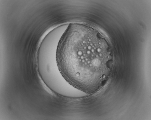 X0000115210808200911121903