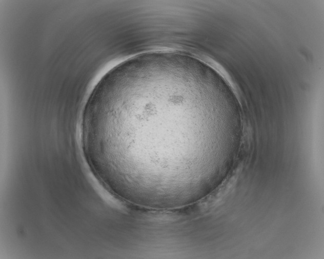 X0000115210811200911121903