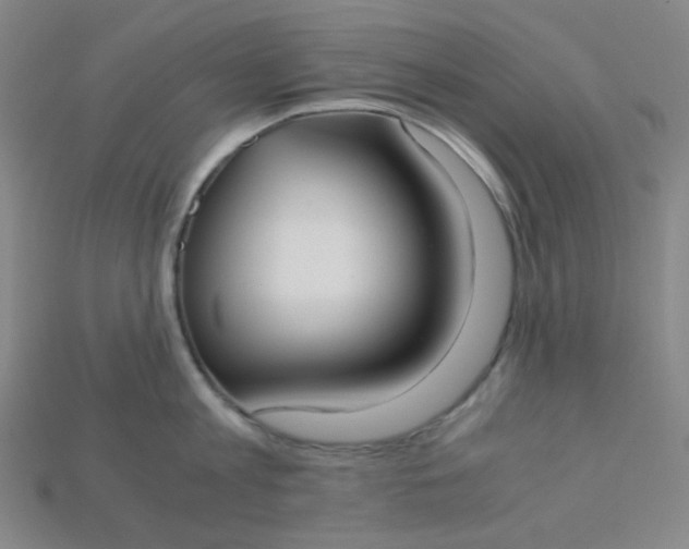 X0000115210813200911121903