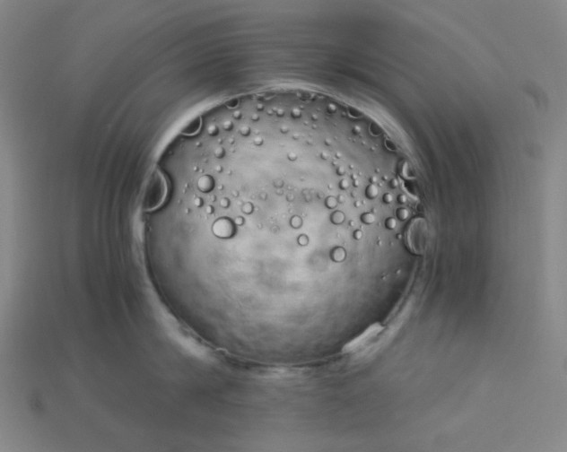 X0000115210814200911121903