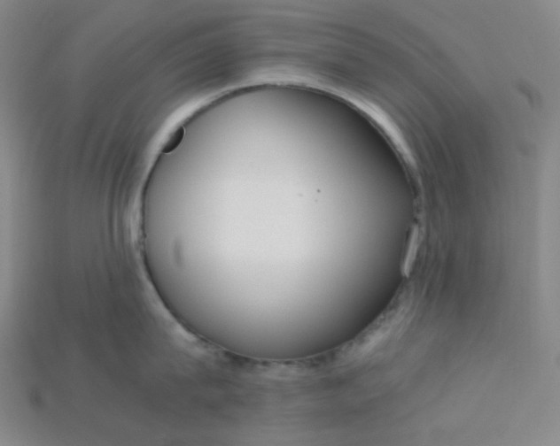 X0000115210815200911121903