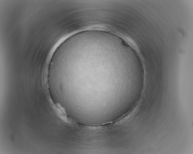 X0000115210816200911121903