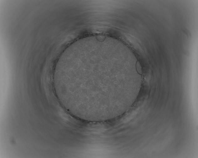 X0000115210817200911121902