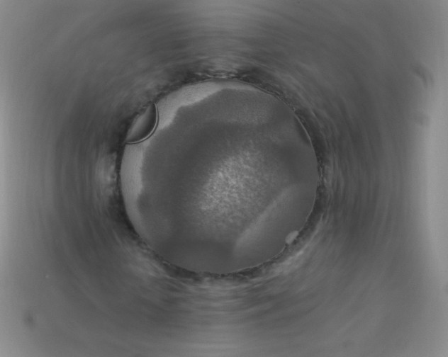 X0000115210818200911121902