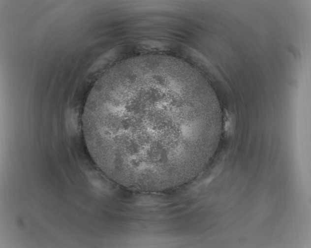 X0000115210819200911121902