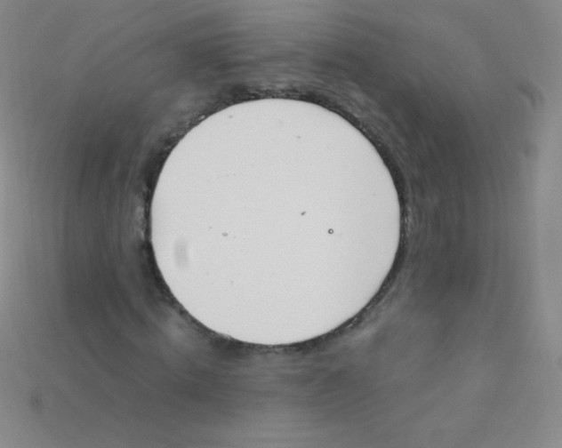 X0000115210820200911121902
