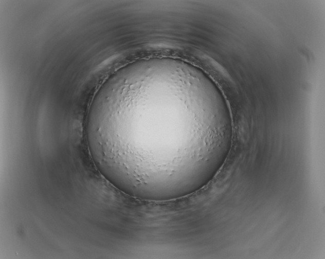 X0000115210821200911121902