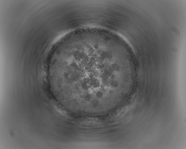 X0000115210823200911121902