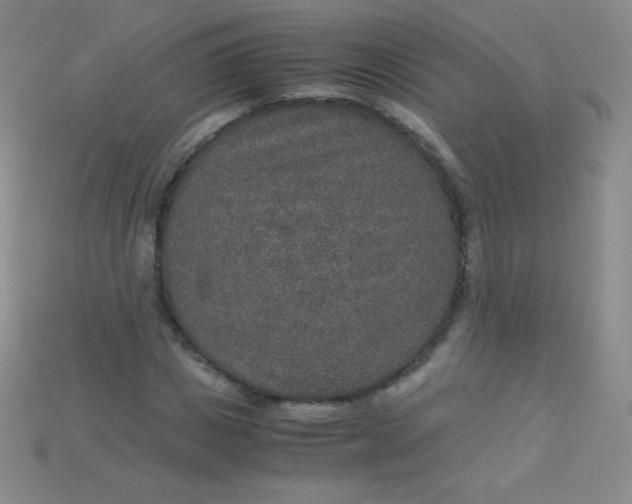 X0000115210825200911121902