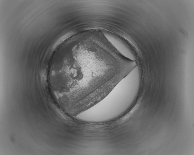 X0000115210826200911121902