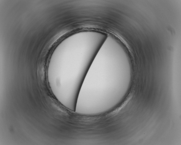 X0000115210829200911121902