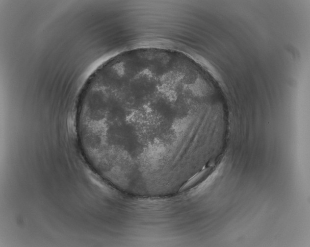 X0000115210830200911121902