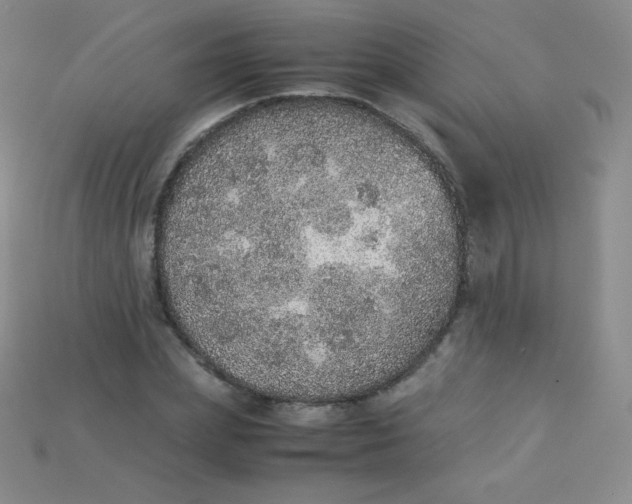 X0000115210831200911121902