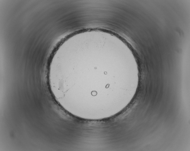 X0000115210832200911121902