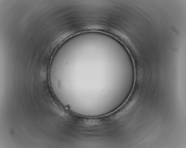 X0000115210833200911121902