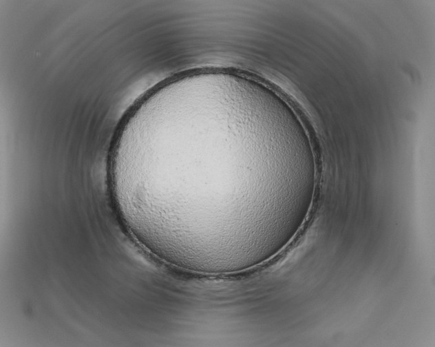 X0000115210834200911121902