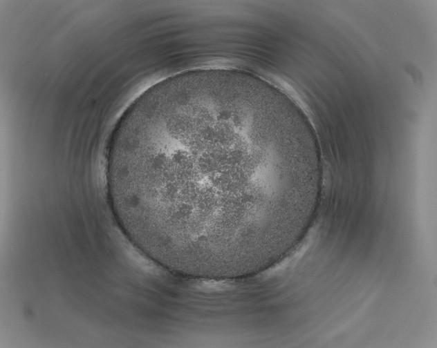 X0000115210835200911121902