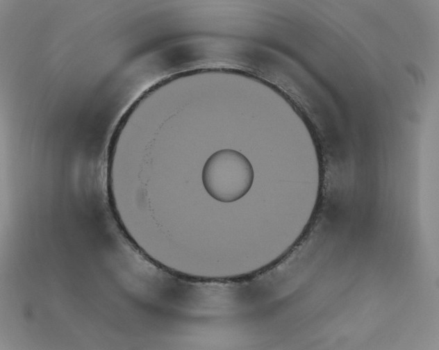 X0000115210836200911121902
