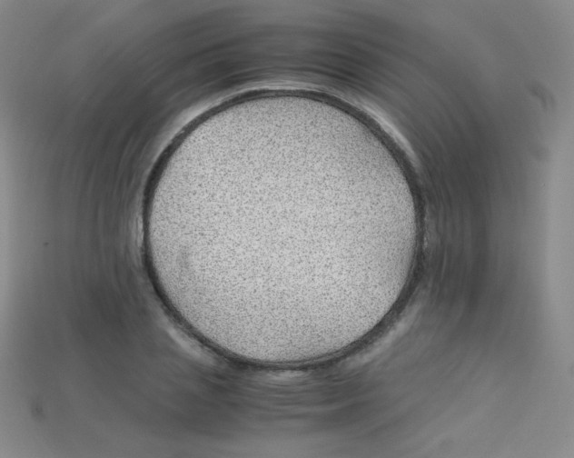 X0000115210837200911121902