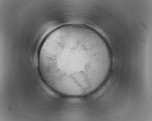 X0000115210838200911121902