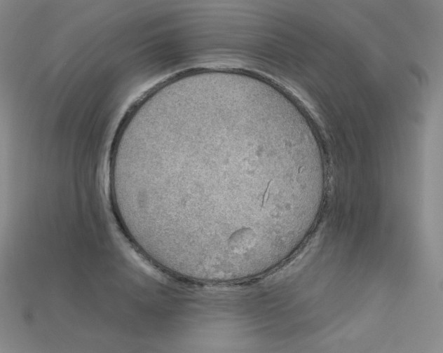 X0000115210840200911121902
