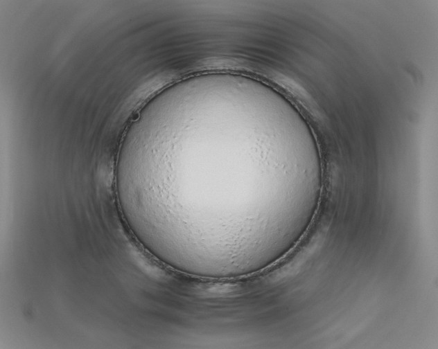 X0000115210841200911121903