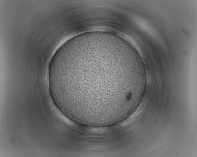 X0000115210843200911121903