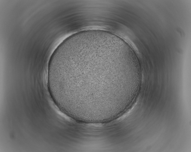 X0000115210844200911121903