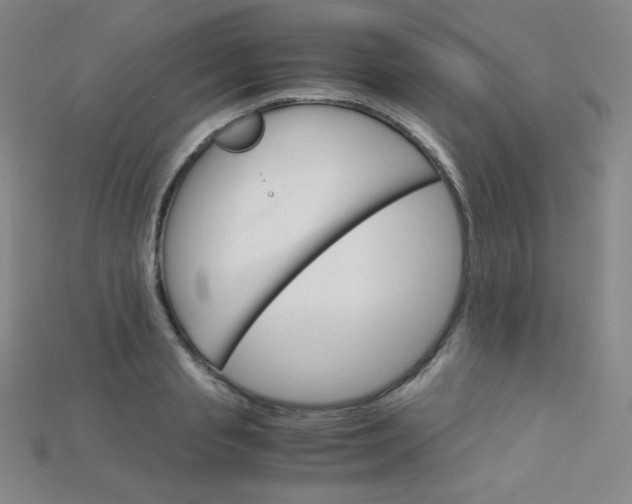 X0000115210845200911121903