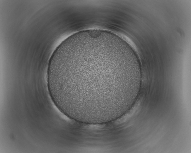 X0000115210847200911121903