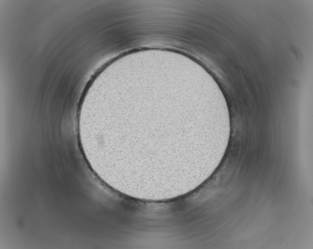 X0000115210848200911121903