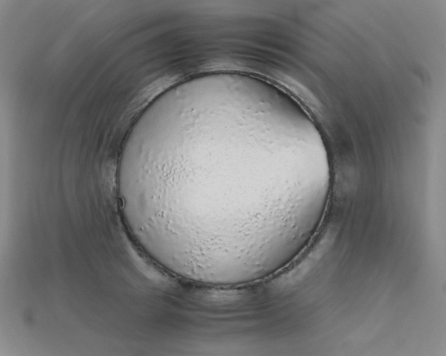 X0000115210849200911121903