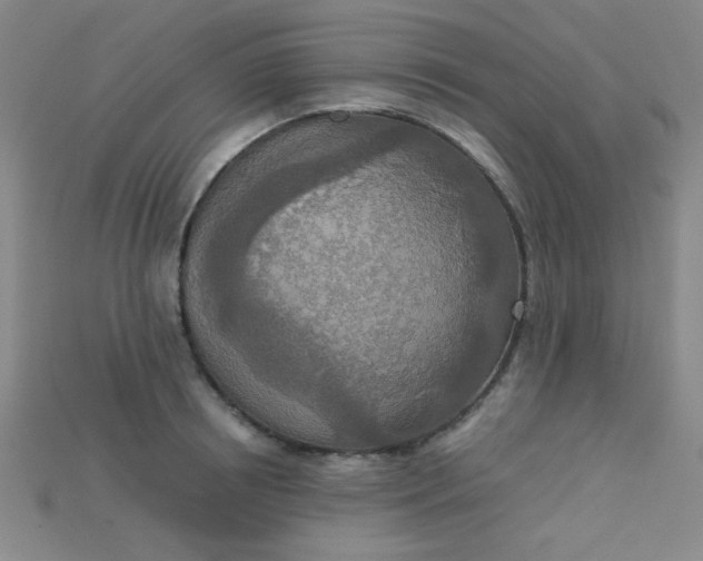 X0000115210850200911121903