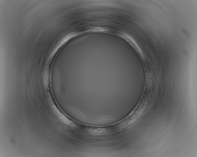 X0000115210851200911121903