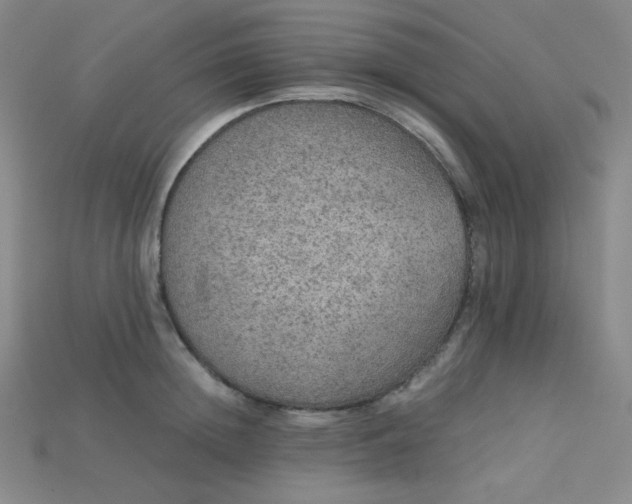 X0000115210852200911121903