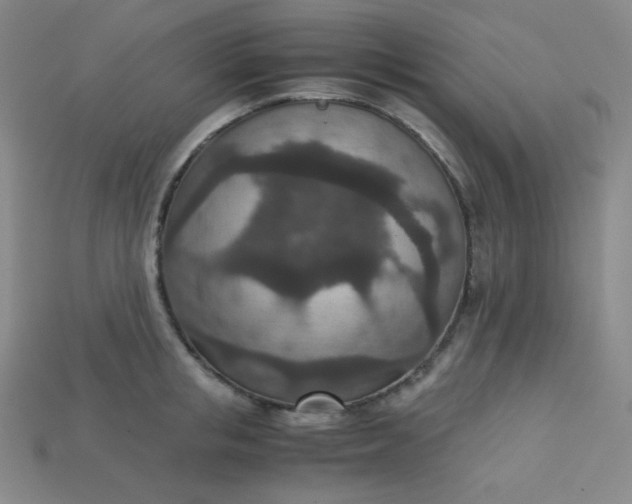 X0000115210853200911121903