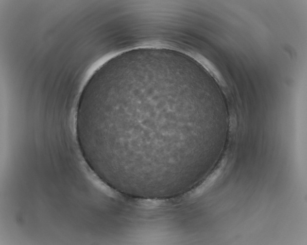 X0000115210854200911121903