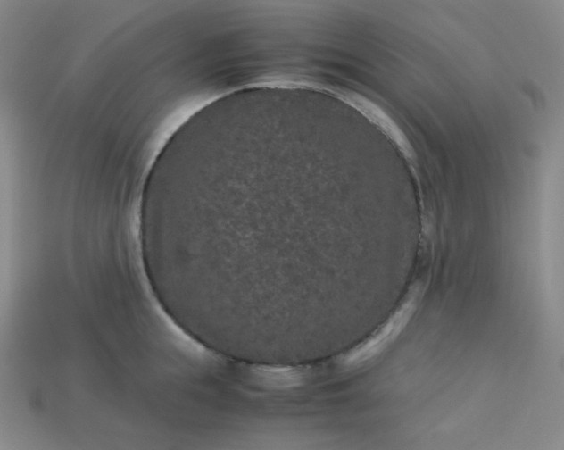 X0000115210855200911121903