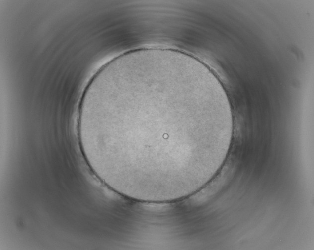X0000115210856200911121903