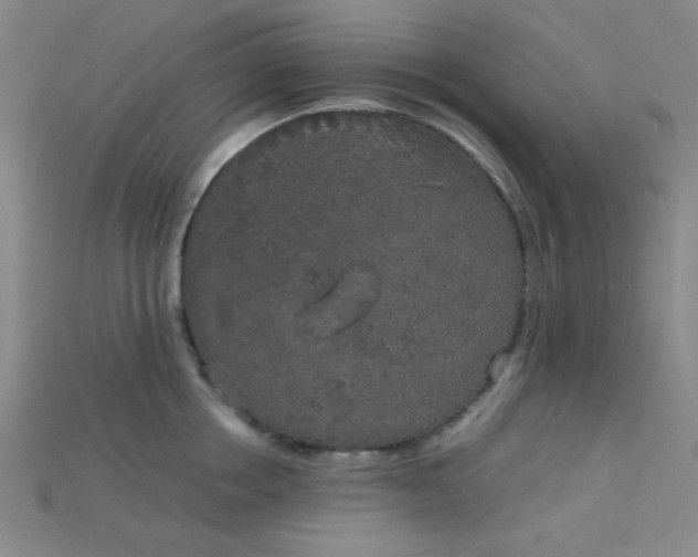 X0000115210858200911121903