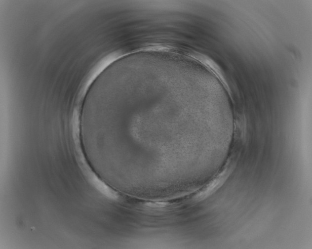 X0000115210859200911121903