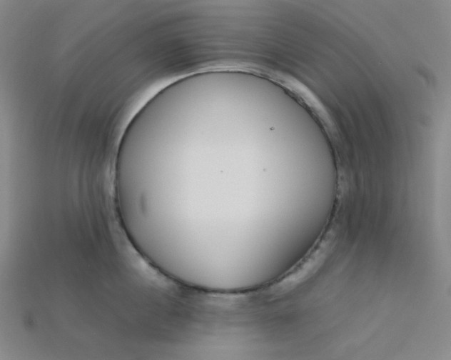 X0000115210860200911121903