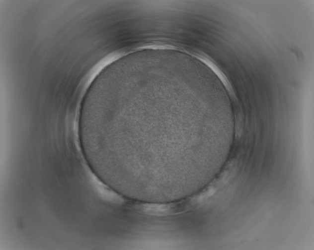 X0000115210861200911121903