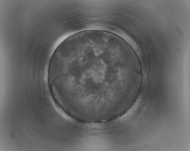 X0000115210862200911121903