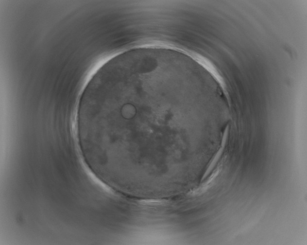 X0000115210863200911121903