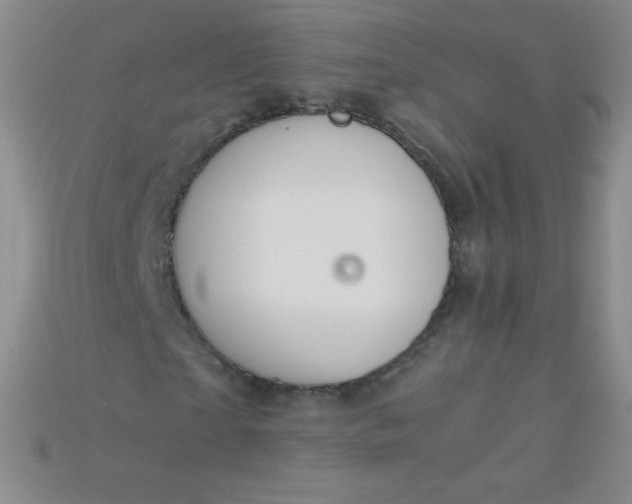 X0000115210865200911121902
