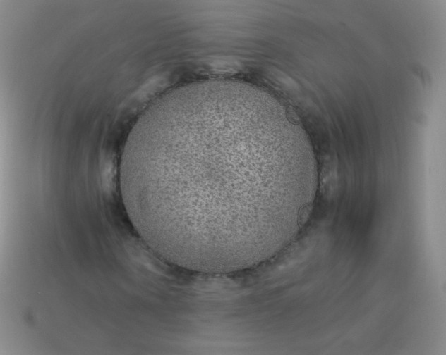 X0000115210866200911121902