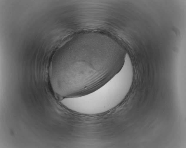 X0000115210868200911121902