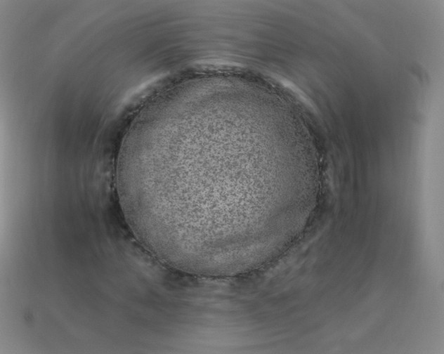 X0000115210870200911121902