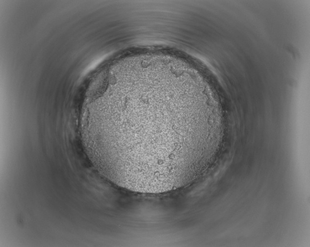 X0000115210871200911121902